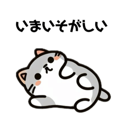 [LINEスタンプ] かんたんにゃんこちゃん