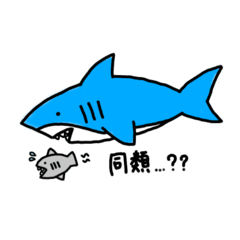 [LINEスタンプ] さめのにちじょー