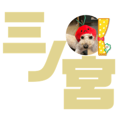 [LINEスタンプ] めるるの13