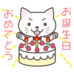 [LINEスタンプ] ねこたろ☆バースデースタンプ