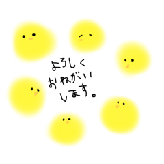 [LINEスタンプ] わたしのヒヨコたち