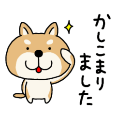 [LINEスタンプ] 柴犬 ビジネススタンプ