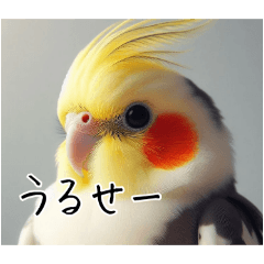 [LINEスタンプ] 煽りまくるオカメインコ3