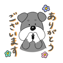 [LINEスタンプ] シュナウザーの日常あいさつ