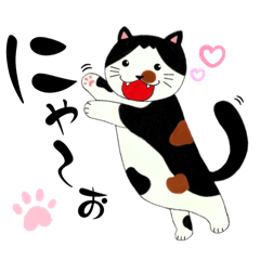 [LINEスタンプ] ねこの"にゃー”