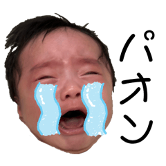 [LINEスタンプ] ひな蔵と仲間たちの画像（メイン）