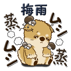 [LINEスタンプ] 柴犬・茶色い犬 『雨の日』梅雨