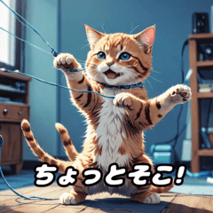 [LINEスタンプ] ふわふわ毛のノラ猫ちゃんの日常