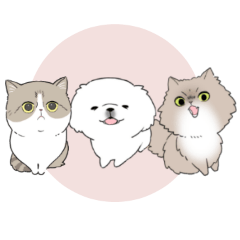 [LINEスタンプ] ペキニーズの白いのと仲間たち