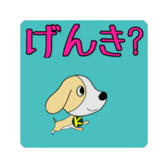 [LINEスタンプ] うごきまわるこたろう