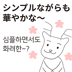 [LINEスタンプ] 世の中のデザイナーたちに (韓国語-日本語)