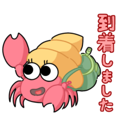 [LINEスタンプ] 海の生き物日常