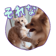 [LINEスタンプ] ラテとおもち