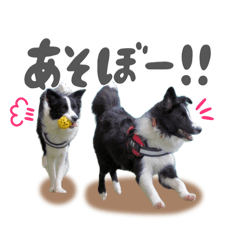 [LINEスタンプ] あおうなFamily♡