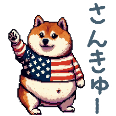[LINEスタンプ] アメリカンな柴犬【英語・日常会話】