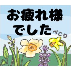 [LINEスタンプ] お花を送るスタンプ