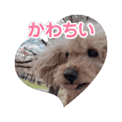 [LINEスタンプ] ピノのーの画像（メイン）