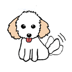 [LINEスタンプ] トイプードルのエイト！