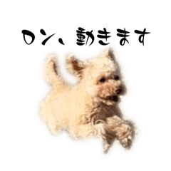 [LINEスタンプ] ロンしゅたんぷ2