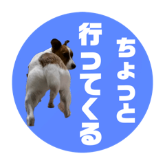 [LINEスタンプ] Jack_Russell_Terrier_6