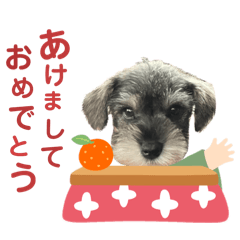 [LINEスタンプ] COCOちゃんの日常♪