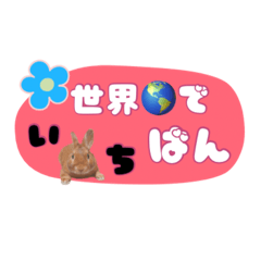 [LINEスタンプ] うさぎのいち君♪日常あいさつ