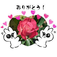 [LINEスタンプ] ハナ 作成2の画像（メイン）