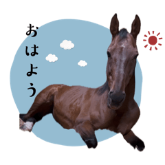 [LINEスタンプ] 我が部の馬たち。