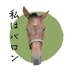 [LINEスタンプ] 我が部の馬たち。〜私はバロン〜