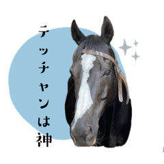 [LINEスタンプ] 我が部の馬たち。〜テッチャンは神〜