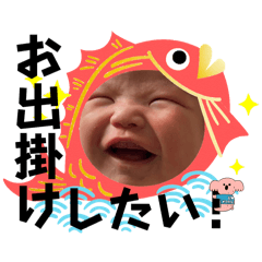 [LINEスタンプ] にこにこかいとのわんぱく大冒険2024春