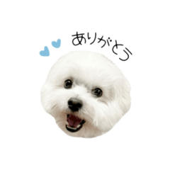 [LINEスタンプ] ☆ちょこスタンプ☆