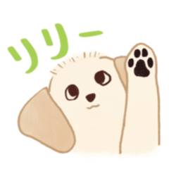 [LINEスタンプ] ゴールデンレトリバーの子犬リリー