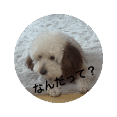 [LINEスタンプ] 動くマロくん