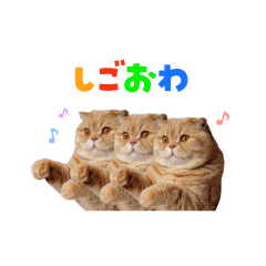 [LINEスタンプ] 愉快にゃんこ