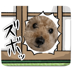 [LINEスタンプ] ピノちゃんって…