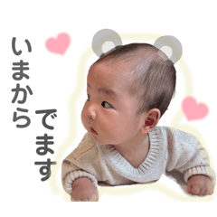 [LINEスタンプ] とり坊のまいにち