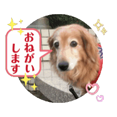 [LINEスタンプ] ラルクさん動画スタンプ02