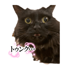 [LINEスタンプ] クロネコメンバーズ4