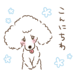 [LINEスタンプ] トイプードルのライス君