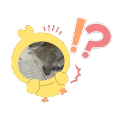 [LINEスタンプ] うさぎ(ネザーランドドワーフ)マロン1120