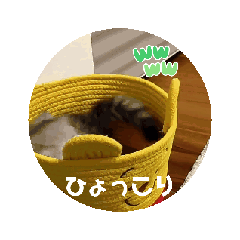 [LINEスタンプ] にゃんプティスタンプ