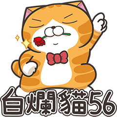 [LINEスタンプ] ランラン猫 56