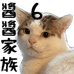 [LINEスタンプ] みーちゃん猫家族と柴犬のミゴ