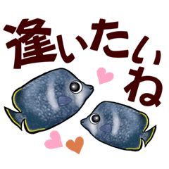 [LINEスタンプ] 小笠原.ダイビング・魚.大文字