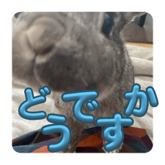 [LINEスタンプ] ぐーたんぷう