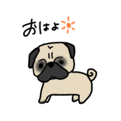 [LINEスタンプ] パグですが.