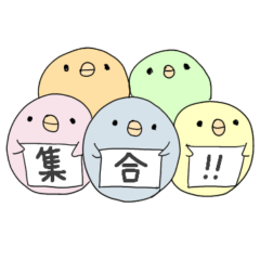 [LINEスタンプ] カラーぴよこ