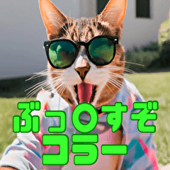 [LINEスタンプ] イケメンで面白く毒舌だけど何処か可愛い猫