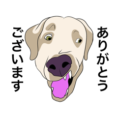 [LINEスタンプ] ちゃちゃししここ日常敬語